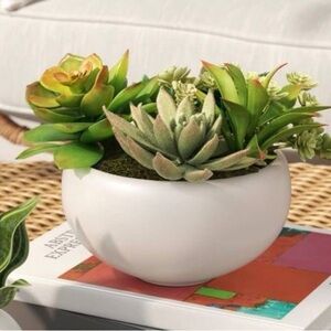 Threshold Faux Succulent Arrangement in White Pot